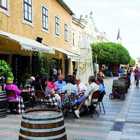 House And In Balaton 19032 別荘