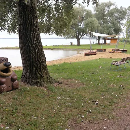 House And In Balaton 19032 別荘