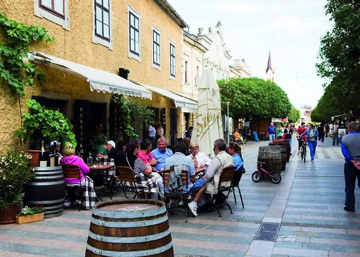 House And In Balaton 19032 *